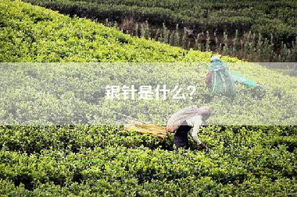 银针是什么？