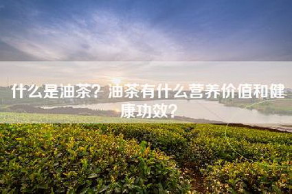 什么是油茶？油茶有什么营养价值和健康功效？