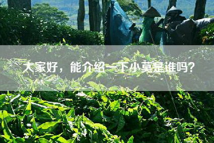 大家好，能介绍一下小莫是谁吗？