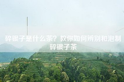 碎银子是什么茶？教你如何辨别和泡制碎银子茶