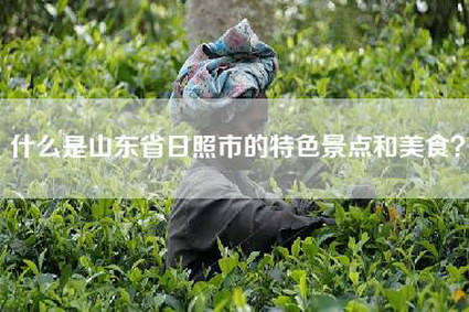 什么是山东省日照市的特色景点和美食？