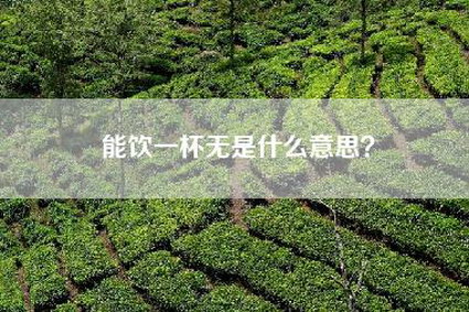 能饮一杯无是什么意思？