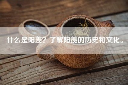 什么是阳羡？了解阳羡的历史和文化。