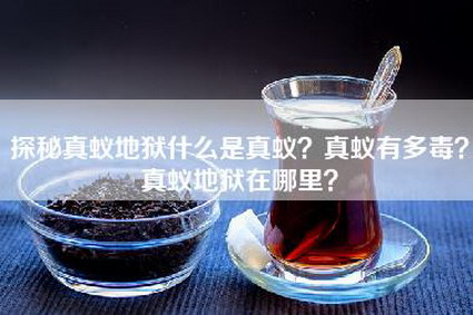 探秘真蚁地狱什么是真蚁？真蚁有多毒？真蚁地狱在哪里？