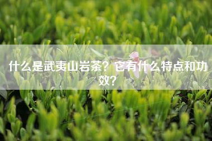 什么是武夷山岩茶？它有什么特点和功效？