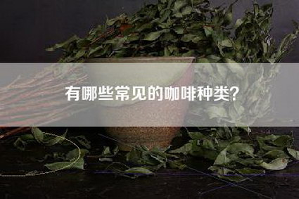 有哪些常见的咖啡种类？