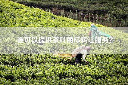 谁可以提供茶叶商标转让服务？