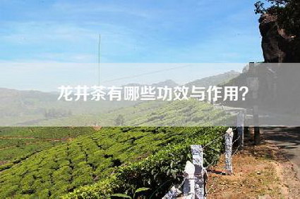 龙井茶有哪些功效与作用？