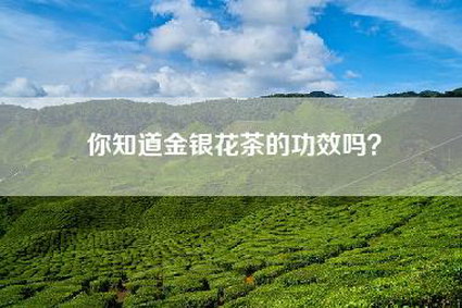 你知道金银花茶的功效吗？