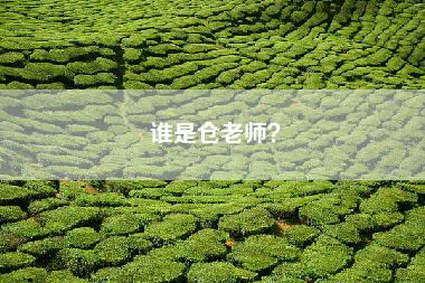 谁是仓老师？
