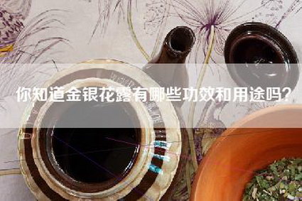 你知道金银花露有哪些功效和用途吗？
