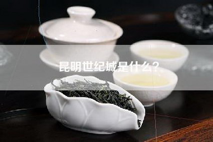 昆明世纪城是什么？