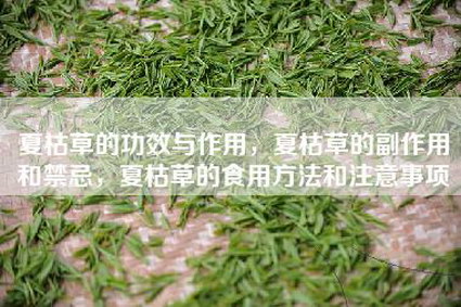 夏枯草的功效与作用，夏枯草的副作用和禁忌，夏枯草的食用方法和注意事项