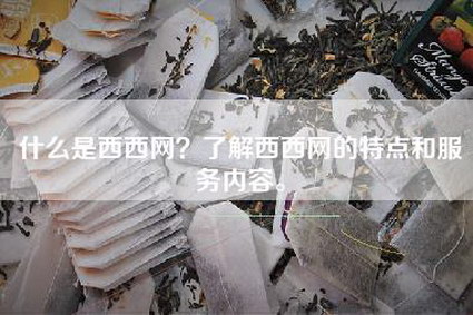 什么是西西网？了解西西网的特点和服务内容。