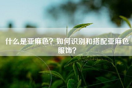 什么是亚麻色？如何识别和搭配亚麻色服饰？