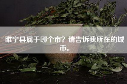 睢宁县属于哪个市？请告诉我所在的城市。