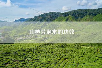 山楂片泡水的功效