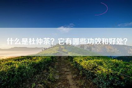 什么是杜仲茶？它有哪些功效和好处？