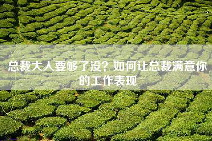 总裁大人要够了没？如何让总裁满意你的工作表现