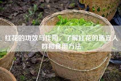 红花的功效与作用，了解红花的适宜人群和食用方法
