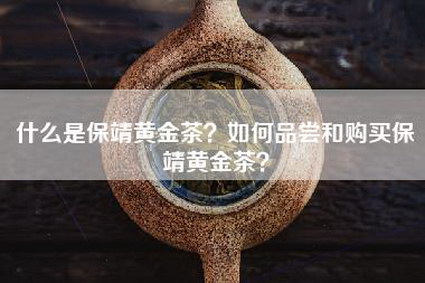 什么是保靖黄金茶？如何品尝和购买保靖黄金茶？