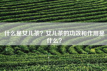 什么是女儿茶？女儿茶的功效和作用是什么？