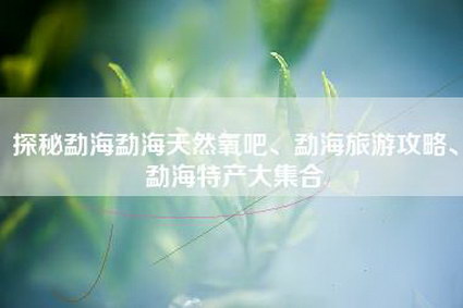 探秘勐海勐海天然氧吧、勐海旅游攻略、勐海特产大集合