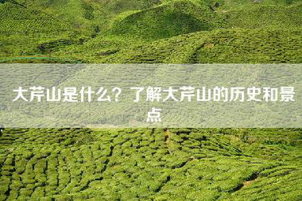大芹山是什么？了解大芹山的历史和景点