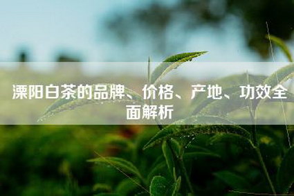 溧阳白茶的品牌、价格、产地、功效全面解析