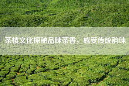 茶楼文化探秘品味茶香，感受传统韵味