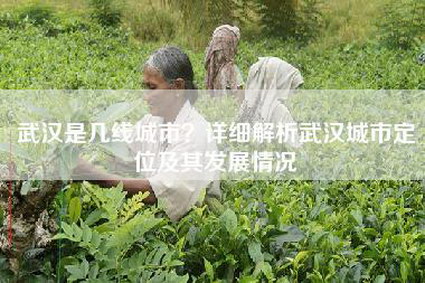 武汉是几线城市？详细解析武汉城市定位及其发展情况