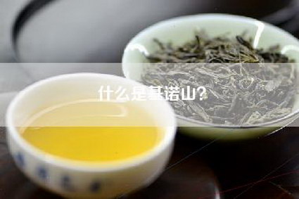什么是基诺山？