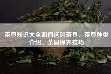 茶具知识大全如何选购茶具、茶具种类介绍、茶具保养技巧