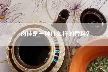 肉桂是一种什么样的香料？