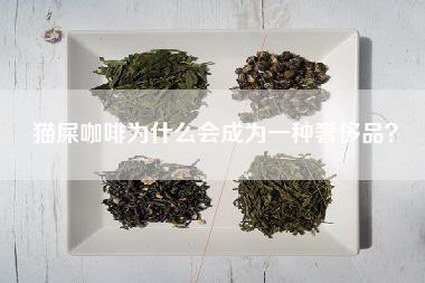 猫屎咖啡为什么会成为一种奢侈品？