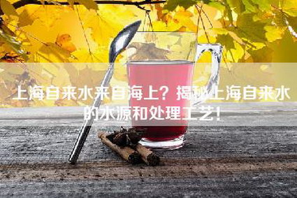上海自来水来自海上？揭秘上海自来水的水源和处理工艺！