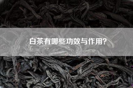 白茶有哪些功效与作用？