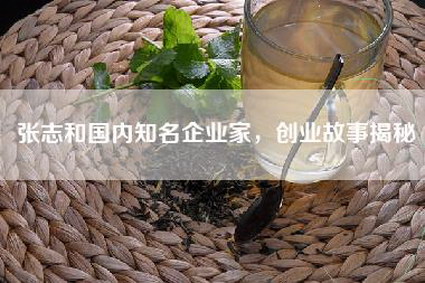 张志和国内知名企业家，创业故事揭秘