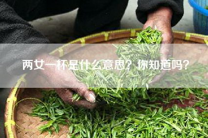 两女一杯是什么意思？你知道吗？