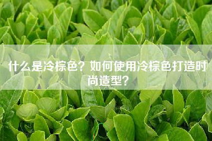 什么是冷棕色？如何使用冷棕色打造时尚造型？