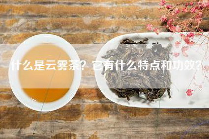 什么是云雾茶？它有什么特点和功效？