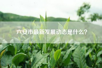 六安市最新发展动态是什么？