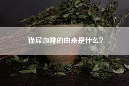 猫屎咖啡的由来是什么？