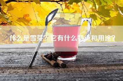 什么是雪芽？它有什么特点和用途？