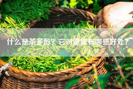 什么是茶多酚？它对健康有哪些好处？