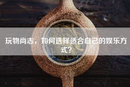 玩物尚志，如何选择适合自己的娱乐方式？