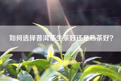 如何选择普洱茶生茶好还是熟茶好？