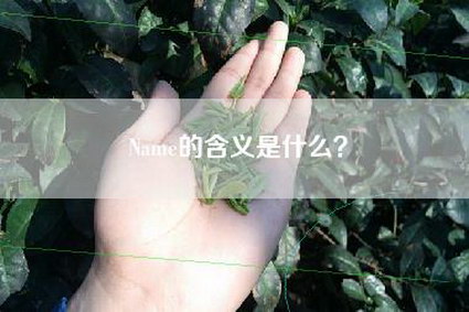 Name的含义是什么？