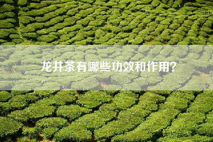 龙井茶有哪些功效和作用？