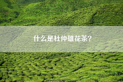 什么是杜仲雄花茶？